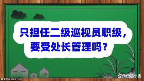 巡视员调研员，巡视员调研员必备技能大盘点，你掌握了吗？